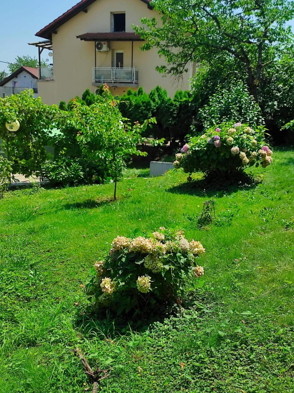 Apartman Zagreb,Rebro,Maksimir,Centar Marko Eksteriør bilde